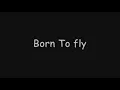 Born To Fly by Sara Evans Lyrics On Screen