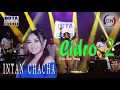 Download Lagu Intan Chacha - Cidro 2 | Duta Nirwana Music [OFFICIAL]