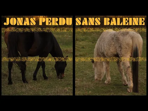 Jonas perdu sans baleine - Un court-métrage de L.L. de Mars (Etel, les augures V)