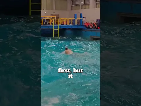 Crazy swimming course . Credit : poseidon_lee_official(ig)