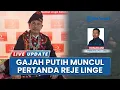 Download Lagu Viral Munculnya Gajah Putih di Pintu Rime Gayo, Benarkah Pertanda Baik bagi Reje Linge ke-21?