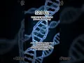 Download Lagu 528 Hz Frekuensi Keajaiban #528hz #frequencyhealing #solfeggio #hypnotherapy #meditasi #motivasi