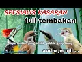 Download Lagu Masteran Spesialis Tembakan Kasar Kapas tembak, Jinjing petulak, Gereja tarung, Pelatuk bawang