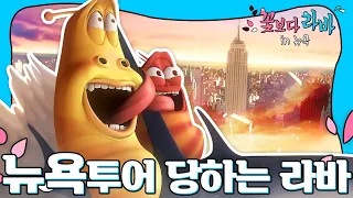 [꽃보다 라바] EP02.뉴욕투어 당하는 라바