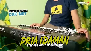 Download PRIA IDAMAN KARAOKE KOPLO NADA CEWEK - ANNYCO KARAOKE MP3