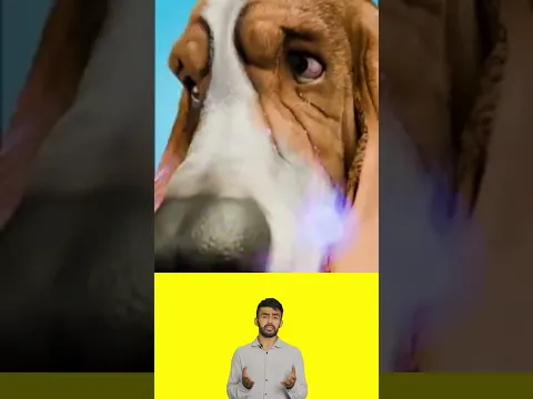 У меня ТОП видео. Подписывайся. Станешь умнее