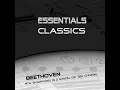 Symphony No. 9, Op. 125. Molto vivace