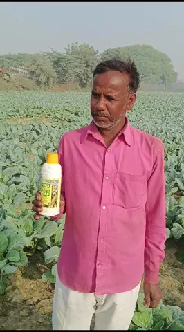 कानपुर के रमेश कश्यप ने गिनाए नैनो डीएपी के कैसे फायदे |वनइंडिया हिंदी