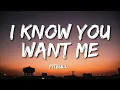 Download Lagu Pitbull - I Know You Want Me (Calle Ocho) (Lyrics)