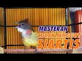 Download Lagu MASTERAN CUCAK JENGGOT GACOR TEMBAKAN PANJANG BESETAN KASAR DURASI RAPAT !!!