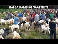 Lagu 2 Jantan 1.9 Juta !! Update Harga Kambing Hari Ini Pasar Kliwon Trenggalek Jatim @dadungkeluh9817 