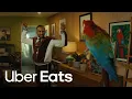 Parrot Do Less Uber Eats