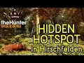 Ormy Gaming theHunter Call Of The Wild - Hidden hotspot in Hirschfelden