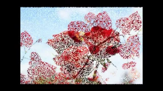 علاء سلام بقى ده اسمه كلام 1994 