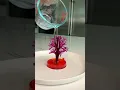 Download Lagu Een magische kersenbloesemboom kweken! Volledige transformatie!!