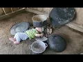 Download Lagu Single mother picks bananas to sell at the market and cooks with her children