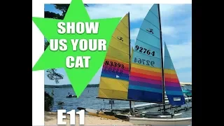 Show us your cat! E11 Poland, Holland, Greece and USA