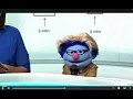 Geometry - 2nd grade