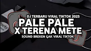 dj pale pale x terena mete gak viral tiktok mengkane