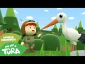 Download Lagu Bangau Oh Bangau | Lagu Anak-Anak | Minia Tura Bahasa Indonesia