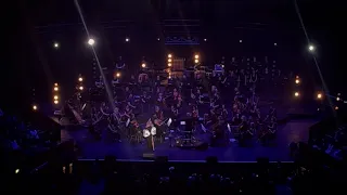 ellie goulding vincent live at the royal albert hall 2024 