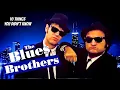 10 Things You Didn t Know About Blues Brothers