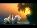 Download Lagu Самая красивая музыка, можно слушать бесконечно Сергей Грищук! Трогательная музыка для души! релакс