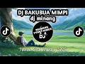 Lagu DJ BAKUBUA MIMPI _ MINANG _ lah jaleh indak sajalan _ VIRAL TERBARU 2025