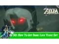 How To Get Dark Link Tunic A Shady Customer - The Legend of Zelda Breath of The Wild