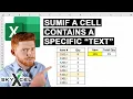 How to Sum Values If a Cell Contains a Specific Text SKYXCEL