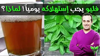 ضرورة إستهلاك نبتة فليو الطرية هكذا يساعد الجسم في العلاج من هذه الأمراض   د نبيل العياشي دندنها