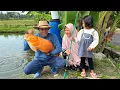 Download Lagu Mancing Ikan Emas Jumbo di Kolam | Masak Mangut Ikan Mas \u0026 Bawal Bakar, Karedok, dan Kue Pisang