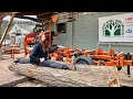 Types of Oak and Their Differences