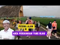 Download Lagu 🔴Semakin viral Sawah lembur Pakuan di serbu para pengunjung ‼️