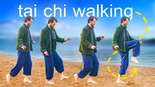tai chi walking from beginners to advanced tutorial 