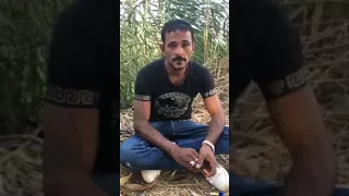 الفيديو الذي تسبب في تصفية محمد لنشن من قبل قوات أمن المنوفية  بعد تهديده لمير أمن المنوفية وقيادتها دندنها