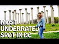 US NATIONAL ARBORETUM DC - HIROSHIMA BONSAI CAPITOL COLUMNS STATE TREES a tree-mendous time