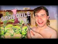 Download Lagu I finally played schedule 1