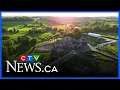 Why is a wedding venue in Drumbo stirring up controversy