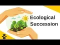 Ecological Succession-Primary and Secondary