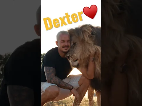 What would you say to Dexter?♥️