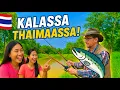 Download Lagu Kalassa Thaimaassa #kalastus #thailand #fishing #suomikanava