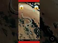 Download Lagu REAL Titanoboa