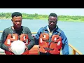 Download Lagu John T. Amanor - Tahulor (Official clip) Directed by Onestone Aduguz
