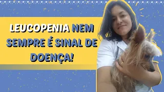 Caso clínico: Leucopenia em um cão sem sinais clínicos associados