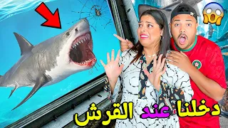 اخيرا دخلنا عند القرش المفترس وشفنا البطاريق فاكبر حوض اسماك بالامارات 