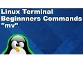 Linux Terminal for Beginners Commands 9 Moving and Renaming Files with