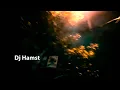 Download Lagu Dj Hamst Nordenson 2025