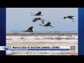 Trending now on WOODTV com