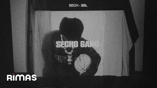Sech -  BBL (Visualizer) | SECHO GANG